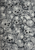 Discobear cult